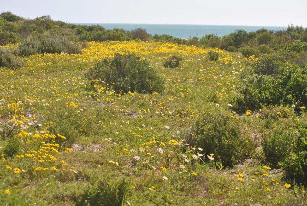 Stay At Bokkoms In Paternoster Self Catering Accommodation Kültér fotó