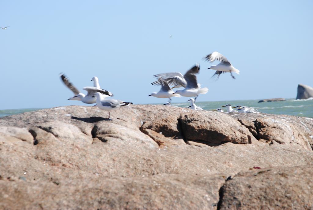Stay At Bokkoms In Paternoster Self Catering Accommodation Kültér fotó