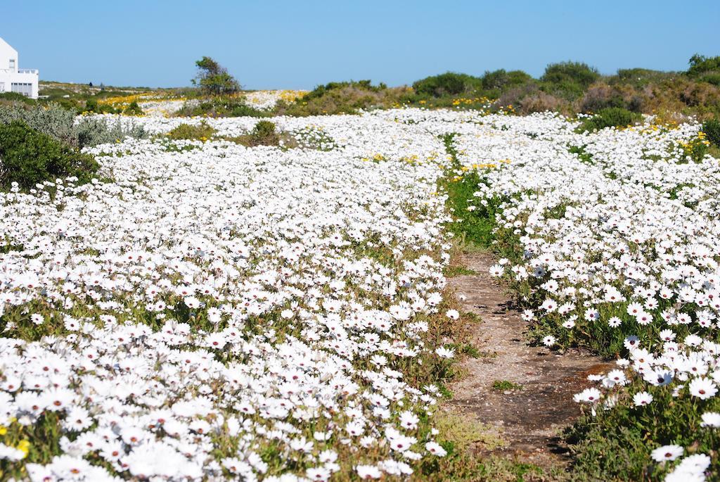 Stay At Bokkoms In Paternoster Self Catering Accommodation Kültér fotó